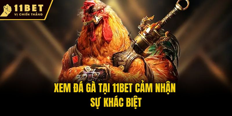 Xem đá gà tại 11bet cảm nhận sự khác biệt
