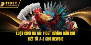 Luật Chơi Đá Gà: 11bet Hướng Dẫn Chi Tiết Từ A-Z Cho Newbie