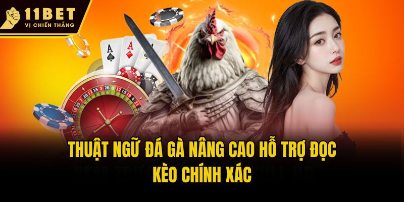 Thuật ngữ đá gà nâng cao hỗ trợ đọc kèo chính xác